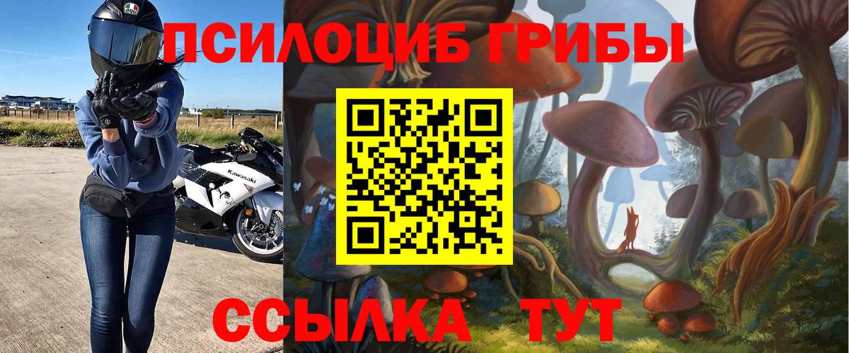 Карпинск  Псилоцибиновые грибы Magic Shrooms  Вход с VPN 