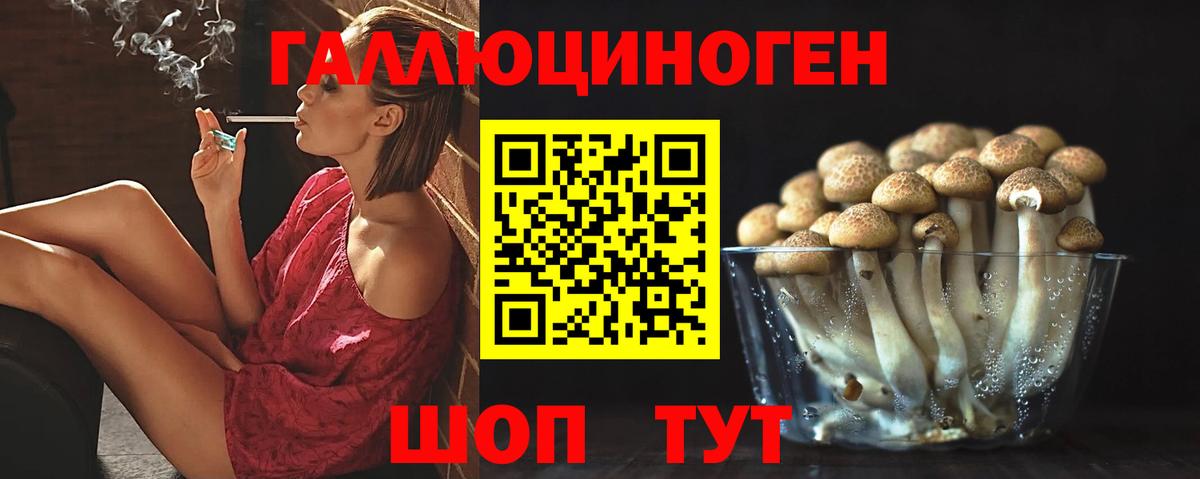 Псилоцибиновые грибы Psilocybe Карпинск